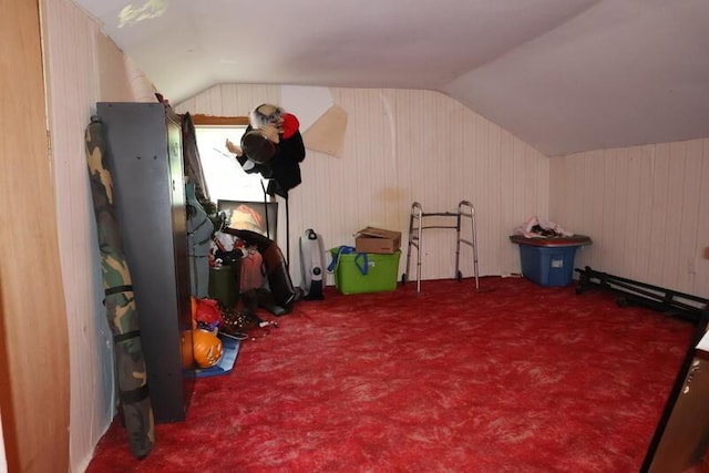 113 S Park St, Union City, MI 49094 - playroom featuring vaulted ceiling, wood walls, and carpet