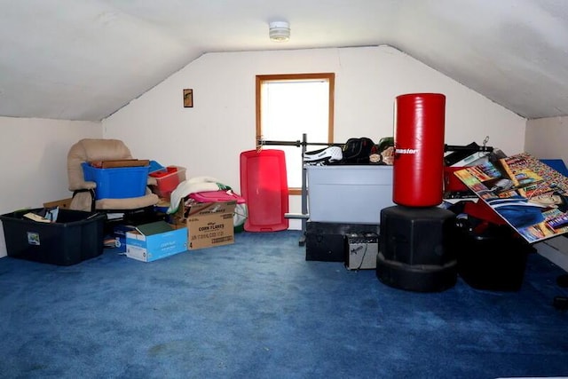 113 S Park St, Union City, MI 49094 - bonus room with vaulted ceiling and carpet