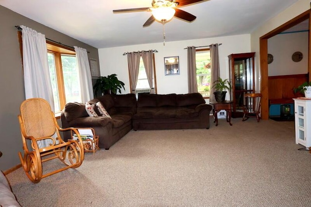 113 S Park St, Union City, MI 49094 - carpeted living room featuring a ceiling fan and plenty of natural light