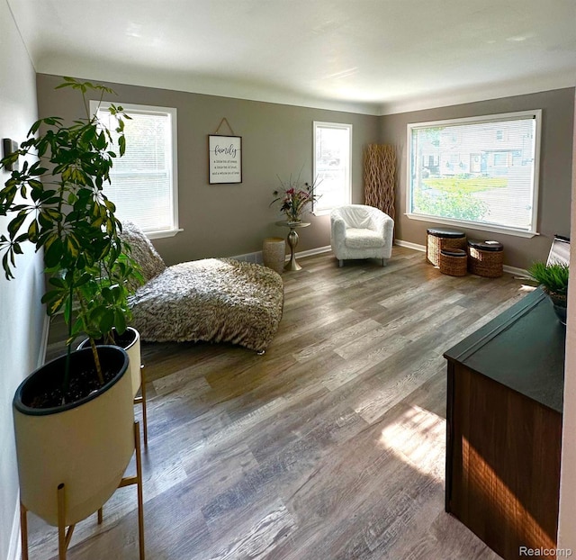 2825 Raskob St, Flint, MI 48504 - living area featuring wood finished floors and baseboards