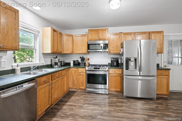 6287 Woodring Ct, Brighton, MI 48116 - kitchen featuring appliances with stainless steel finishes, a sink, dark wood-style flooring, and dark countertops