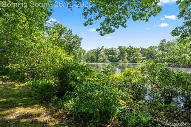 6287 Woodring Ct, Brighton, MI 48116 - view of tree filled area featuring a water view