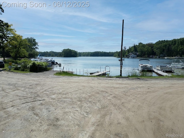 6287 Woodring Ct, Brighton, MI 48116 - dock featuring a water view