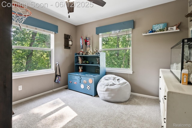 6287 Woodring Ct, Brighton, MI 48116 - misc room featuring ceiling fan, plenty of natural light, and carpet flooring