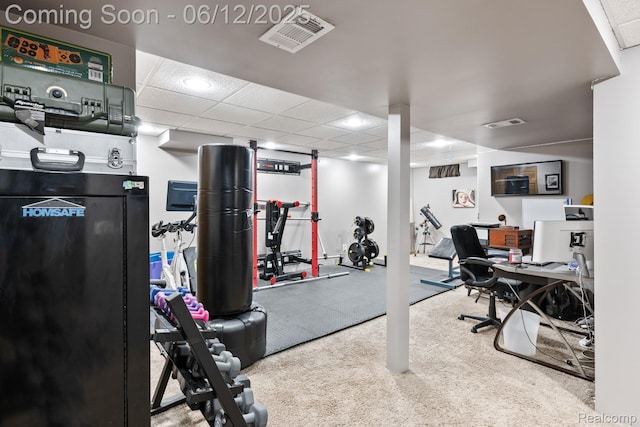 6287 Woodring Ct, Brighton, MI 48116 - view of workout area