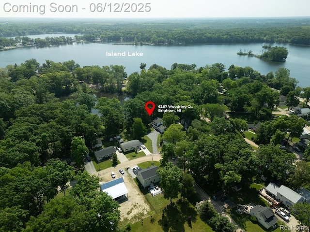 6287 Woodring Ct, Brighton, MI 48116 - aerial overview of property's location featuring a heavily wooded area and a nearby body of water