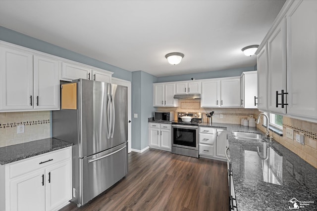 773 Hunting Creek Rd, Temperance, MI 48182 - kitchen featuring stainless steel appliances, a sink, under cabinet range hood, decorative backsplash, and white cabinets