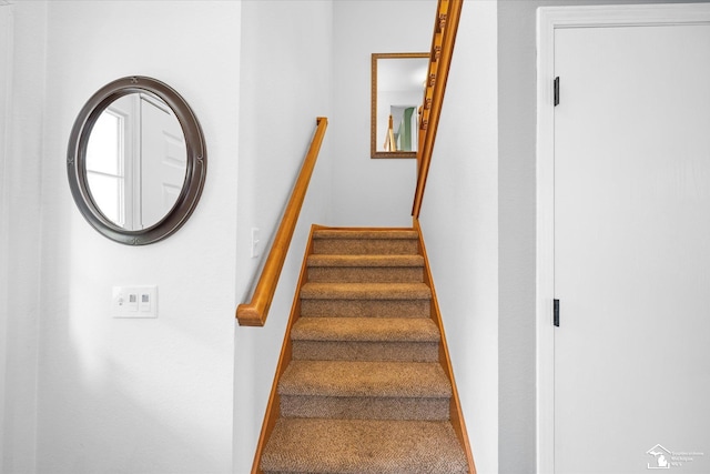 773 Hunting Creek Rd, Temperance, MI 48182 - stairway featuring carpet and baseboards