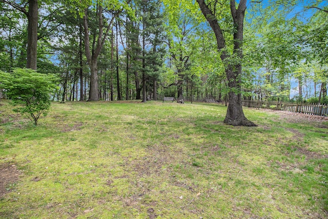 180 Bonnie St, Ludington, MI 49431 - view of yard