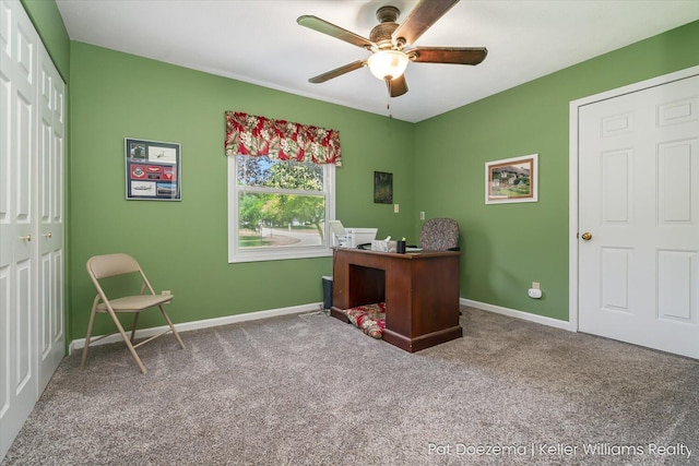 376 Stauffer Dr, Hastings, MI 49058 - office space featuring a ceiling fan, carpet, and baseboards