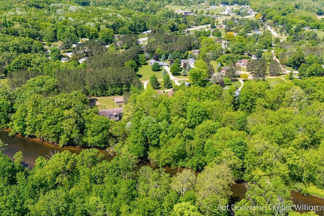 376 Stauffer Dr, Hastings, MI 49058 - aerial overview of property's location featuring a heavily wooded area