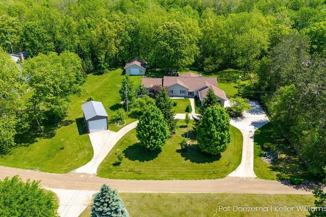 376 Stauffer Dr, Hastings, MI 49058 - view of subject property featuring a forest