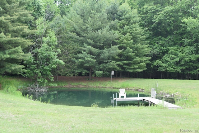12263 W Coldwater Rd, Flushing, MI 48433 - photo 42