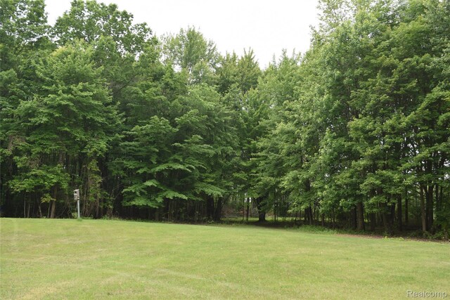 12263 W Coldwater Rd, Flushing, MI 48433 - photo 49