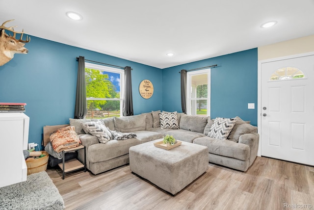 5668 Mill St, Peck, MI 48466 - living area with light wood finished floors and recessed lighting
