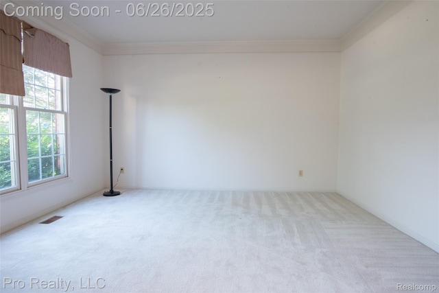 4233 Holly Ln, Rochester, MI 48306 - unfurnished room featuring carpet flooring, crown molding, and healthy amount of natural light