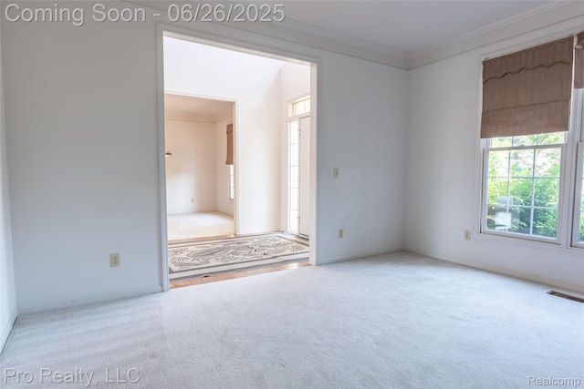 4233 Holly Ln, Rochester, MI 48306 - unfurnished room with carpet and ornamental molding