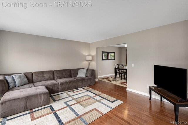 18885 English Ivy Dr, Macomb, MI 48042 - living room with hardwood / wood-style floors and baseboards