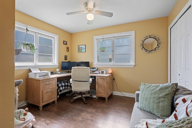 819 N Ball St, Owosso, MI 48867 - office space with ceiling fan, dark wood finished floors, and baseboards