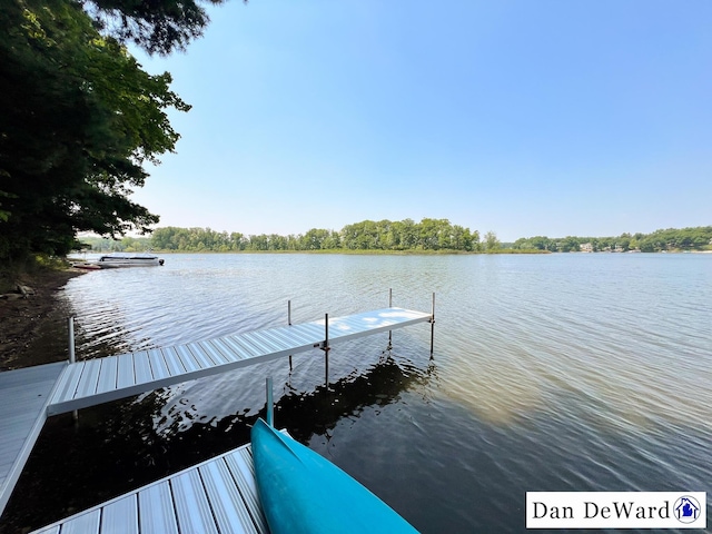 7951 S Island View Dr, Newaygo, MI 49337 - photo 24
