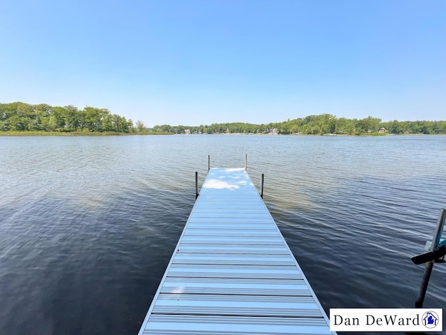 7951 S Island View Dr, Newaygo, MI 49337 - photo 25