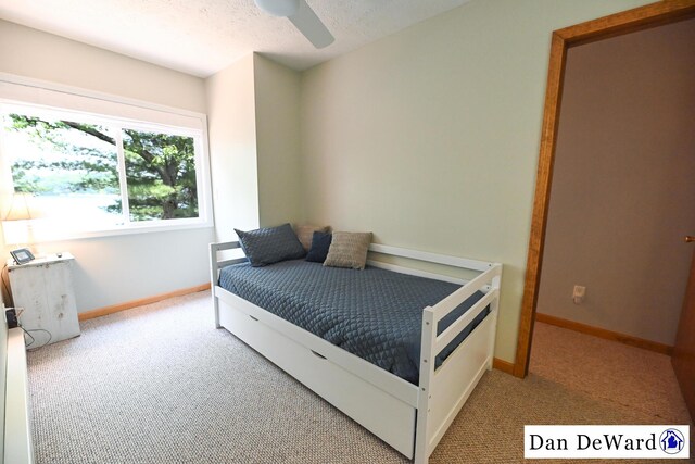7951 S Island View Dr, Newaygo, MI 49337 - photo 47