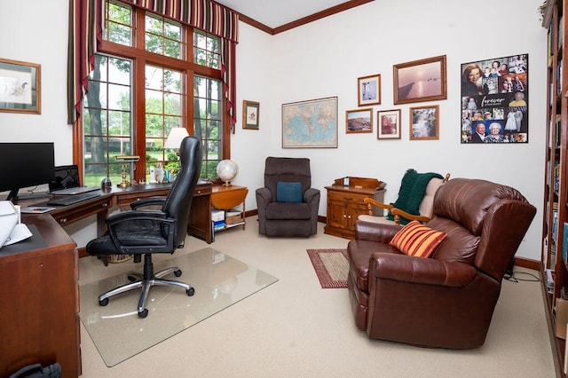1480 Nelson Rd, Saint Joseph, MI 49085 - carpeted office space with crown molding, healthy amount of natural light, and baseboards