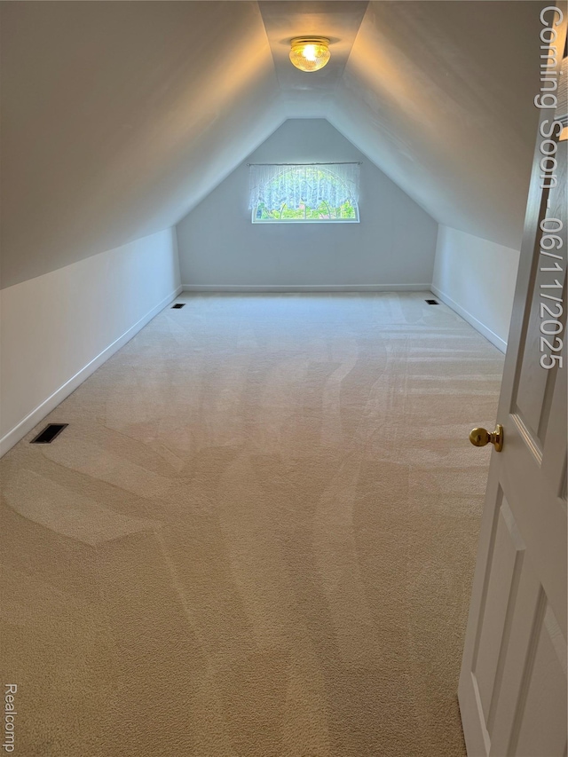 34444 Fargo St, Livonia, MI 48152 - bonus room featuring carpet floors and vaulted ceiling