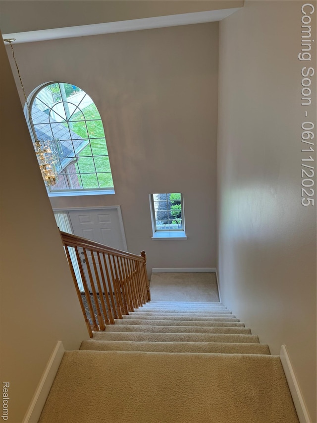 34444 Fargo St, Livonia, MI 48152 - stairway with carpet flooring and plenty of natural light