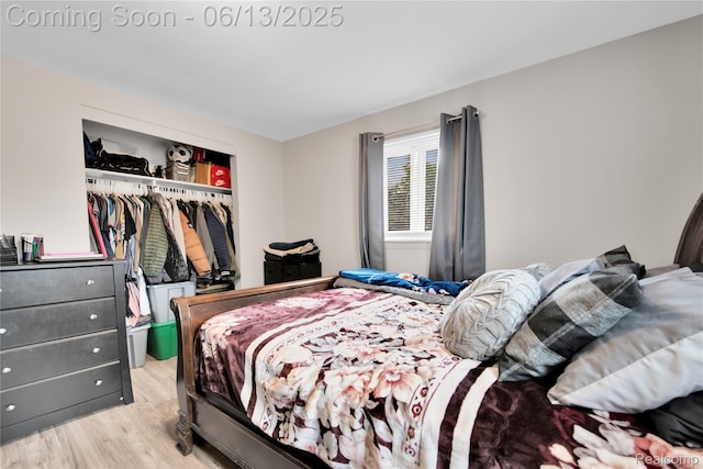 24113 Karen Ave, Warren, MI 48091 - bedroom featuring light wood-style floors and a closet