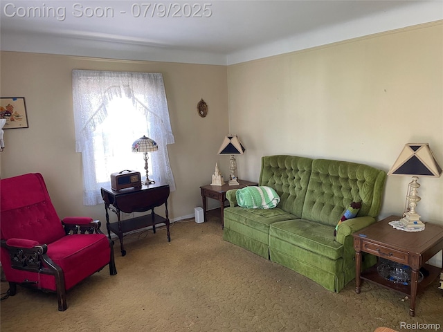 6250 Grandville Ave, Detroit, MI 48228 - living area with carpet flooring