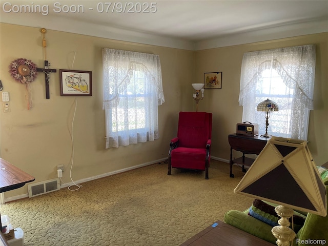 6250 Grandville Ave, Detroit, MI 48228 - sitting room featuring healthy amount of natural light and carpet flooring