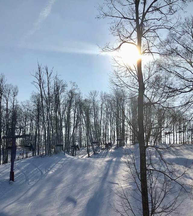 166 Forest Highlands, Bellaire, MI 49615