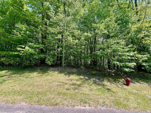 166 Forest Highlands, Bellaire, MI 49615