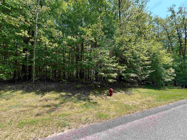 166 Forest Highlands, Bellaire, MI 49615