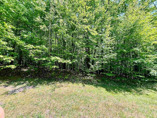 166 Forest Highlands, Bellaire, MI 49615