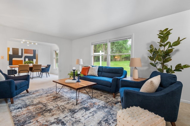 3673 Pheasant Dr, Ann Arbor, MI 48103 - living room with carpet, arched walkways, and baseboards