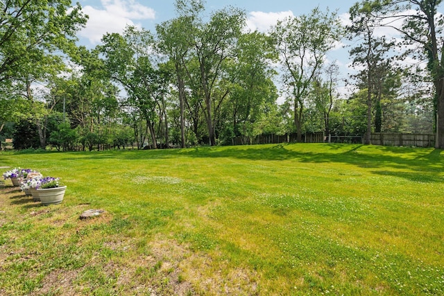 3673 Pheasant Dr, Ann Arbor, MI 48103 - view of yard