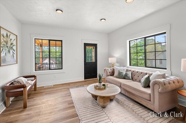820 Hackett St, Ionia, MI 48846 - living room with light wood-style floors, baseboards, and a textured ceiling