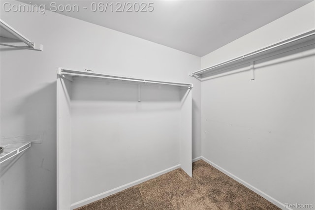 8487 Sherwood Dr, Grosse Ile, MI 48138 - spacious closet featuring carpet floors
