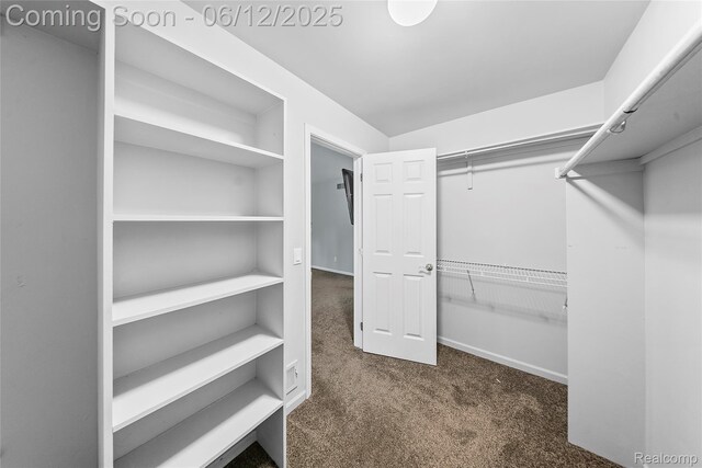 8487 Sherwood Dr, Grosse Ile, MI 48138 - spacious closet featuring carpet floors