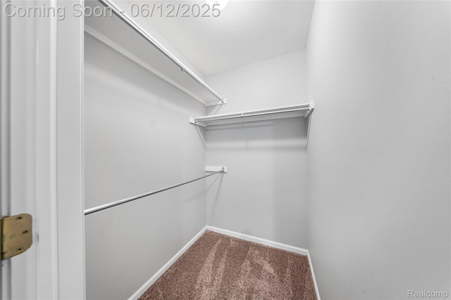 8487 Sherwood Dr, Grosse Ile, MI 48138 - spacious closet featuring carpet