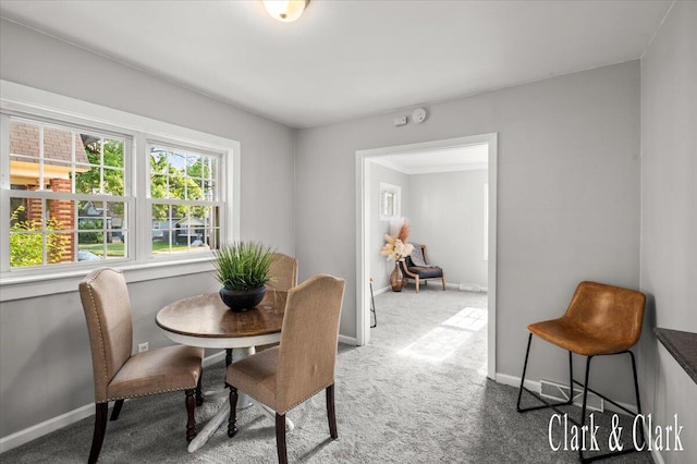 1714 Kalamazoo Ave SE, Grand Rapids, MI 49507 - dining room with carpet flooring and baseboards