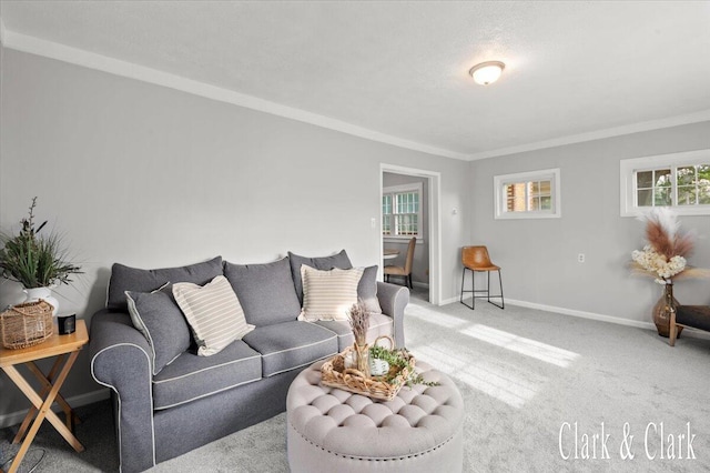 1714 Kalamazoo Ave SE, Grand Rapids, MI 49507 - living area with crown molding, carpet flooring, and baseboards
