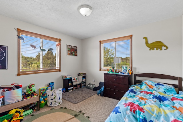 5886 13 Mile Rd, Remus, MI 49340 - carpeted bedroom with a textured ceiling