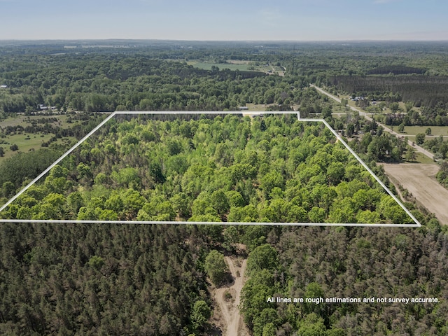 5886 13 Mile Rd, Remus, MI 49340 - aerial view of property's location featuring a forest and property boundaries highlighted