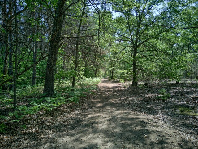 5886 13 Mile Rd, Remus, MI 49340 - view of road with a view of trees