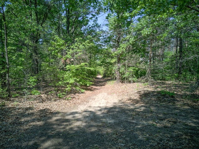 5886 13 Mile Rd, Remus, MI 49340 - view of road with a forest view