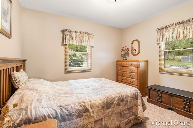 5182 Muskego Dr, Croton, MI 49337 - photo 15