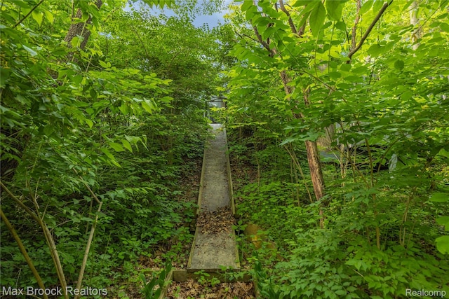 1982 E Coon Lake Rd, Howell, MI 48843 - view of undeveloped land